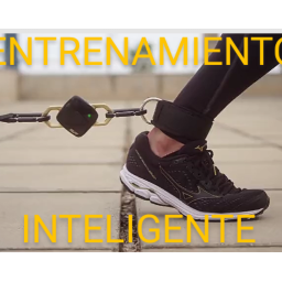 RTT S.L