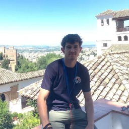 Francisco Javier Merino Flores