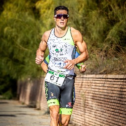 Carlos Goyenechea