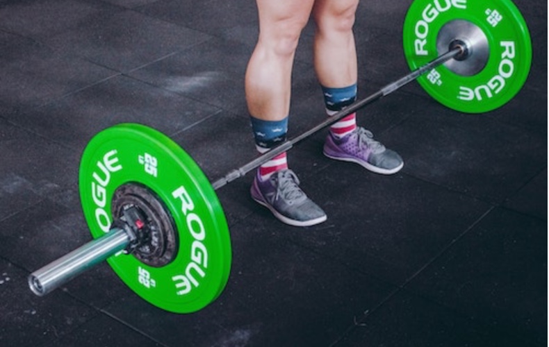 ¿Cuáles son las bases del entrenamiento?